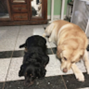 Meet your Posher, Jaime